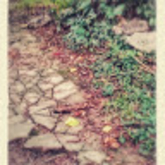 Meet your Posher, Kelli - Picture 1 of 1